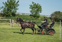 002 D101 -ATTELAGE LOUVRES - MARATHON - 28052017-ATE 1635 : 2017, 28 mAI 2017, Concours ATTELAGE 2017, D101, MARATHON