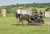 003 D101 -ATTELAGE LOUVRES - MARATHON - 28052017-ATE 1680 : 2017, 28 mAI 2017, Concours ATTELAGE 2017, D101, MARATHON