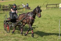 006 D101 -ATTELAGE LOUVRES - MARATHON - 28052017-ATE 1704 : 2017, 28 mAI 2017, Concours ATTELAGE 2017, D101, MARATHON, Obstacle 3