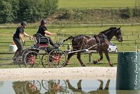 008 D101 -ATTELAGE LOUVRES - MARATHON - 28052017-ATE 1706 : 2017, 28 mAI 2017, Concours ATTELAGE 2017, D101, MARATHON, Obstacle 3