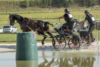 012 D101 -ATTELAGE LOUVRES - MARATHON - 28052017-ATE 1710 : 2017, 28 mAI 2017, Concours ATTELAGE 2017, D101, MARATHON, Obstacle 3