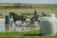 019 D101 -ATTELAGE LOUVRES - MARATHON - 28052017-ATE 1717 : 2017, 28 mAI 2017, Concours ATTELAGE 2017, D101, MARATHON, Obstacle 3