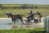 020 D101 -ATTELAGE LOUVRES - MARATHON - 28052017-ATE 1718 : 2017, 28 mAI 2017, Concours ATTELAGE 2017, D101, MARATHON, Obstacle 3