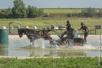 021 D101 -ATTELAGE LOUVRES - MARATHON - 28052017-ATE 1719 : 2017, 28 mAI 2017, Concours ATTELAGE 2017, D101, MARATHON, Obstacle 3