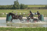 022 D101 -ATTELAGE LOUVRES - MARATHON - 28052017-ATE 1720 : 2017, 28 mAI 2017, Concours ATTELAGE 2017, D101, MARATHON, Obstacle 3