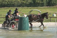 024 D101 -ATTELAGE LOUVRES - MARATHON - 28052017-ATE 1722 : 2017, 28 mAI 2017, Concours ATTELAGE 2017, D101, MARATHON, Obstacle 3