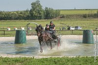 028 D101 -ATTELAGE LOUVRES - MARATHON - 28052017-ATE 1726 : 2017, 28 mAI 2017, Concours ATTELAGE 2017, D101, MARATHON, Obstacle 3