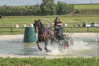 029 D101 -ATTELAGE LOUVRES - MARATHON - 28052017-ATE 1727 : 2017, 28 mAI 2017, Concours ATTELAGE 2017, D101, MARATHON, Obstacle 3