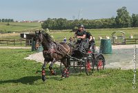 031 D101 -ATTELAGE LOUVRES - MARATHON - 28052017-ATE 1729 : 2017, 28 mAI 2017, Concours ATTELAGE 2017, D101, MARATHON, Obstacle 3