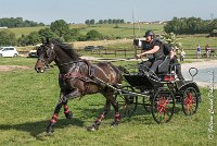 032 D101 -ATTELAGE LOUVRES - MARATHON - 28052017-ATE 1730 : 2017, 28 mAI 2017, Concours ATTELAGE 2017, D101, MARATHON, Obstacle 3