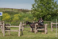 038 D101 -ATTELAGE LOUVRES - MARATHON - 28052017-ATE 1744 : 2017, 28 mAI 2017, Concours ATTELAGE 2017, D101, MARATHON, Obstacle 4