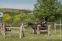 038 D101 -ATTELAGE LOUVRES - MARATHON - 28052017-ATE 1744 : 2017, 28 mAI 2017, Concours ATTELAGE 2017, D101, MARATHON, Obstacle 4