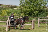 040 D101 -ATTELAGE LOUVRES - MARATHON - 28052017-ATE 1746 : 2017, 28 mAI 2017, Concours ATTELAGE 2017, D101, MARATHON, Obstacle 4