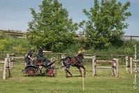 041 D101 -ATTELAGE LOUVRES - MARATHON - 28052017-ATE 1747 : 2017, 28 mAI 2017, Concours ATTELAGE 2017, D101, MARATHON, Obstacle 4