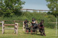 042 D101 -ATTELAGE LOUVRES - MARATHON - 28052017-ATE 1748 : 2017, 28 mAI 2017, Concours ATTELAGE 2017, D101, MARATHON, Obstacle 4