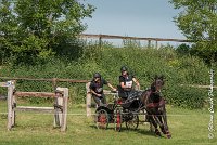 042 D101 -ATTELAGE LOUVRES - MARATHON - 28052017-ATE 1748 : 2017, 28 mAI 2017, Concours ATTELAGE 2017, D101, MARATHON, Obstacle 4