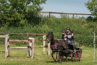 043 D101 -ATTELAGE LOUVRES - MARATHON - 28052017-ATE 1749 : 2017, 28 mAI 2017, Concours ATTELAGE 2017, D101, MARATHON, Obstacle 4