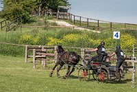 044 D101 -ATTELAGE LOUVRES - MARATHON - 28052017-ATE 1750 : 2017, 28 mAI 2017, Concours ATTELAGE 2017, D101, MARATHON, Obstacle 4