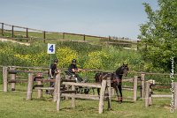 045 D101 -ATTELAGE LOUVRES - MARATHON - 28052017-ATE 1751 : 2017, 28 mAI 2017, Concours ATTELAGE 2017, D101, MARATHON, Obstacle 4