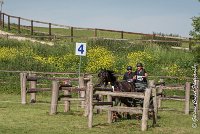 046 D101 -ATTELAGE LOUVRES - MARATHON - 28052017-ATE 1752 : 2017, 28 mAI 2017, Concours ATTELAGE 2017, D101, MARATHON, Obstacle 4