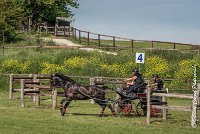 047 D101 -ATTELAGE LOUVRES - MARATHON - 28052017-ATE 1753 : 2017, 28 mAI 2017, Concours ATTELAGE 2017, D101, MARATHON, Obstacle 4