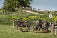 048 D101 -ATTELAGE LOUVRES - MARATHON - 28052017-ATE 1754 : 2017, 28 mAI 2017, Concours ATTELAGE 2017, D101, MARATHON, Obstacle 4