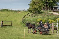 049 D101 -ATTELAGE LOUVRES - MARATHON - 28052017-ATE 1755 : 2017, 28 mAI 2017, Concours ATTELAGE 2017, D101, MARATHON, Obstacle 4