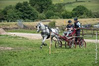 001 D102 - DRESSAGE -ATTELAGE LOUVRES - MARATHON - 28052017-ATE 2402 : 2017, 28 mAI 2017, Concours ATTELAGE 2017, D102, MARATHON