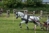 002 D102 - DRESSAGE -ATTELAGE LOUVRES - MARATHON - 28052017-ATE 2403 : 2017, 28 mAI 2017, Concours ATTELAGE 2017, D102, MARATHON