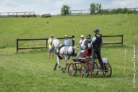 004 D102 - DRESSAGE -ATTELAGE LOUVRES - MARATHON - 28052017-ATE 2405 : 2017, 28 mAI 2017, Concours ATTELAGE 2017, D102, MARATHON