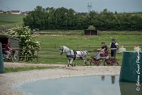 005 D102 - DRESSAGE -ATTELAGE LOUVRES - MARATHON - 28052017-ATE 2448 : 2017, 28 mAI 2017, Concours ATTELAGE 2017, D102, MARATHON