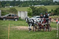 007 D102 - DRESSAGE -ATTELAGE LOUVRES - MARATHON - 28052017-ATE 2450 : 2017, 28 mAI 2017, Concours ATTELAGE 2017, D102, MARATHON