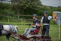 008 D102 - DRESSAGE -ATTELAGE LOUVRES - MARATHON - 28052017-ATE 2451 : 2017, 28 mAI 2017, Concours ATTELAGE 2017, D102, MARATHON