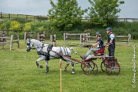 009 D102 - DRESSAGE -ATTELAGE LOUVRES - MARATHON - 28052017-ATE 2452 : 2017, 28 mAI 2017, Concours ATTELAGE 2017, D102, MARATHON