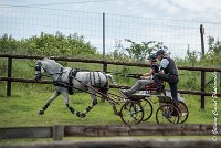 010 D102 - DRESSAGE -ATTELAGE LOUVRES - MARATHON - 28052017-ATE 2456 : 2017, 28 mAI 2017, Concours ATTELAGE 2017, D102, MARATHON