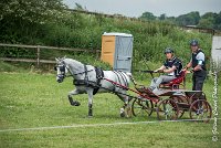 011 D102 - DRESSAGE -ATTELAGE LOUVRES - MARATHON - 28052017-ATE 2479 : 2017, 28 mAI 2017, Concours ATTELAGE 2017, D102, MARATHON, Obstacle 3