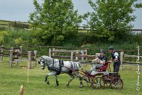 012 D102 - DRESSAGE -ATTELAGE LOUVRES - MARATHON - 28052017-ATE 2480 : 2017, 28 mAI 2017, Concours ATTELAGE 2017, D102, MARATHON, Obstacle 3