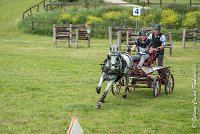 013 D102 - DRESSAGE -ATTELAGE LOUVRES - MARATHON - 28052017-ATE 2481 : 2017, 28 mAI 2017, Concours ATTELAGE 2017, D102, MARATHON, Obstacle 3