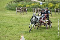 013 D102 - DRESSAGE -ATTELAGE LOUVRES - MARATHON - 28052017-ATE 2481 : 2017, 28 mAI 2017, Concours ATTELAGE 2017, D102, MARATHON, Obstacle 3