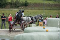 016 D102 - DRESSAGE -ATTELAGE LOUVRES - MARATHON - 28052017-ATE 2484 : 2017, 28 mAI 2017, Concours ATTELAGE 2017, D102, MARATHON, Obstacle 3