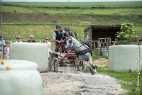 017 D102 - DRESSAGE -ATTELAGE LOUVRES - MARATHON - 28052017-ATE 2485 : 2017, 28 mAI 2017, Concours ATTELAGE 2017, D102, MARATHON, Obstacle 3