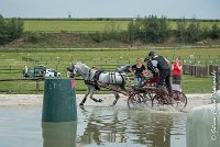 018 D102 - DRESSAGE -ATTELAGE LOUVRES - MARATHON - 28052017-ATE 2486 : 2017, 28 mAI 2017, Concours ATTELAGE 2017, D102, MARATHON, Obstacle 3