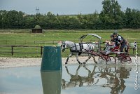 019 D102 - DRESSAGE -ATTELAGE LOUVRES - MARATHON - 28052017-ATE 2487 : 2017, 28 mAI 2017, Concours ATTELAGE 2017, D102, MARATHON, Obstacle 3