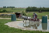 020 D102 - DRESSAGE -ATTELAGE LOUVRES - MARATHON - 28052017-ATE 2488 : 2017, 28 mAI 2017, Concours ATTELAGE 2017, D102, MARATHON, Obstacle 3