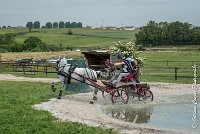 021 D102 - DRESSAGE -ATTELAGE LOUVRES - MARATHON - 28052017-ATE 2489 : 2017, 28 mAI 2017, Concours ATTELAGE 2017, D102, MARATHON, Obstacle 3