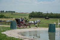 022 D102 - DRESSAGE -ATTELAGE LOUVRES - MARATHON - 28052017-ATE 2490 : 2017, 28 mAI 2017, Concours ATTELAGE 2017, D102, MARATHON, Obstacle 3