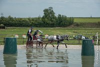 023 D102 - DRESSAGE -ATTELAGE LOUVRES - MARATHON - 28052017-ATE 2491 : 2017, 28 mAI 2017, Concours ATTELAGE 2017, D102, MARATHON, Obstacle 3