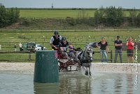 024 D102 - DRESSAGE -ATTELAGE LOUVRES - MARATHON - 28052017-ATE 2492 : 2017, 28 mAI 2017, Concours ATTELAGE 2017, D102, MARATHON, Obstacle 3