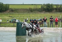 025 D102 - DRESSAGE -ATTELAGE LOUVRES - MARATHON - 28052017-ATE 2493 : 2017, 28 mAI 2017, Concours ATTELAGE 2017, D102, MARATHON, Obstacle 3