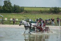 026 D102 - DRESSAGE -ATTELAGE LOUVRES - MARATHON - 28052017-ATE 2494 : 2017, 28 mAI 2017, Concours ATTELAGE 2017, D102, MARATHON, Obstacle 3